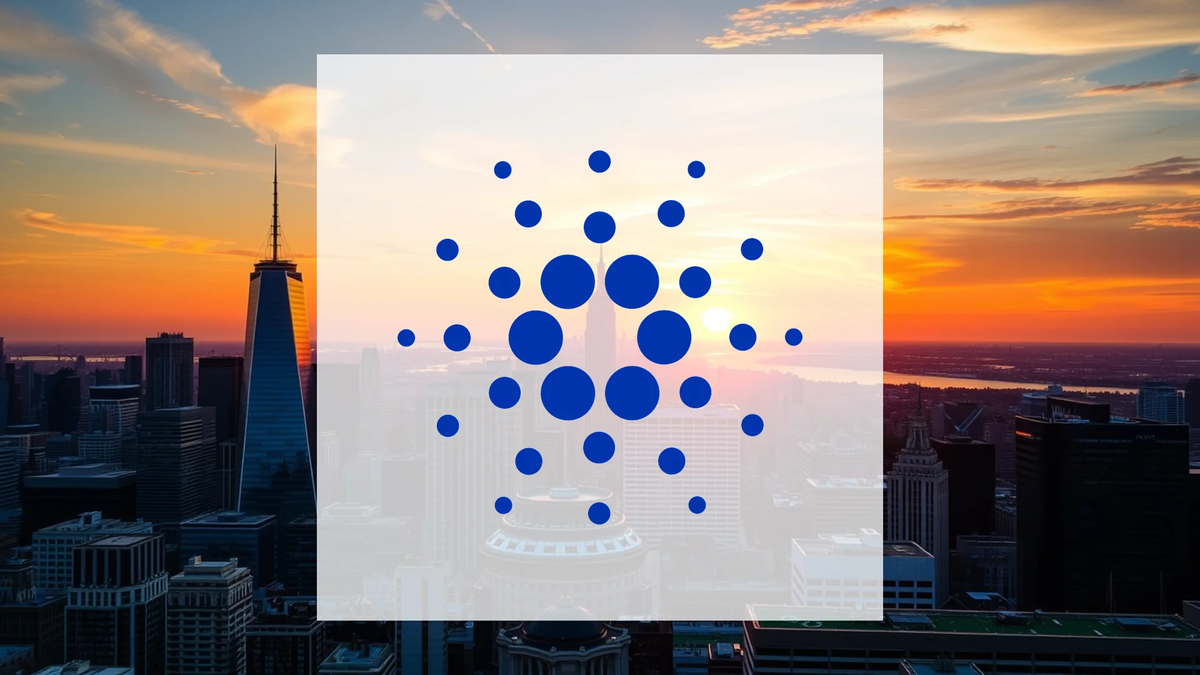Cardano’s Contrarian Bet: Major Investors Accumulate Amid Market Weakness - Foto: über boerse-global.de