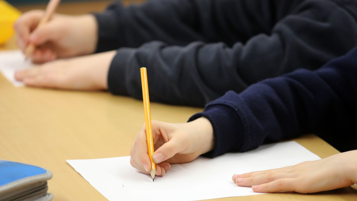 Die Zahl der Schüler mit Einwanderungsgeschichte steigt. (Archivbild) - Foto: picture alliance / Bernd Wüstneck/dpa