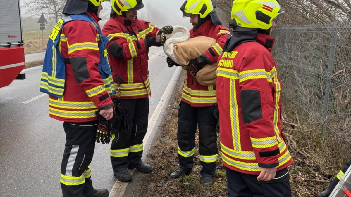 FW Reichenau: Schwan vom Bahndamm gerettet, Reichenau-Lindenbühl, 20.01.2026 - Foto: presseportal.de