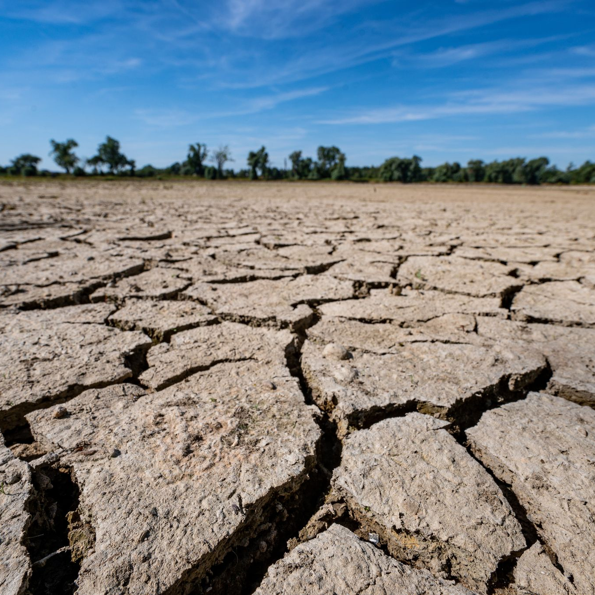 Der Bericht stuft Europa nicht pauschal als wasserbankrott ein, betont aber globale Verflechtungen.  - Foto: Armin Weigel/dpa