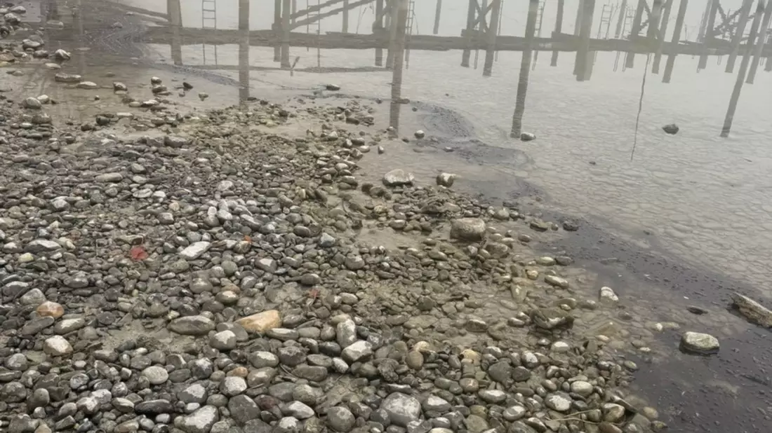 FW Allensbach: OEW2 Bodensee Öl Uferbereich - Bild: presseportal.de