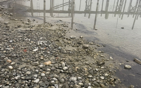 FW Allensbach: OEW2 Bodensee Öl Uferbereich - Foto: presseportal.de