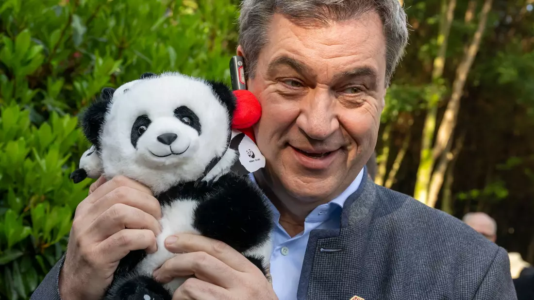 Auch Bayerns Ministerpräsident Markus Söder (r.) hat Gefallen an Pandas gefunden. (Archivbild) - Bild: Peter Kneffel/dpa