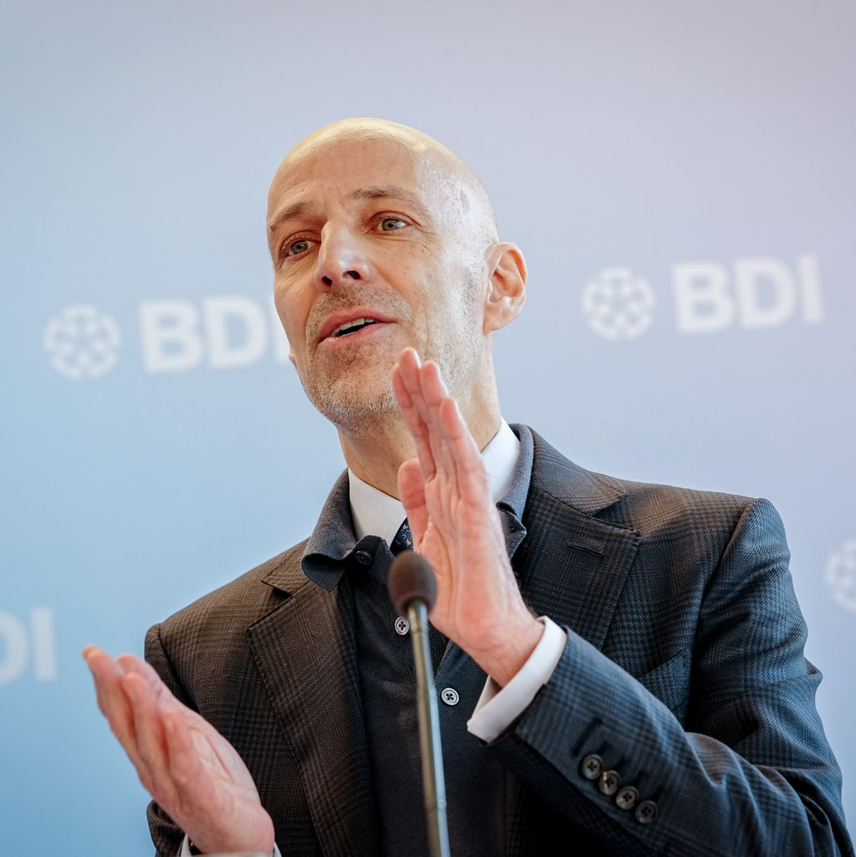 BDI-Präsident: Auch Industrie muss Hausaufgaben machen.  - Foto: Kay Nietfeld/dpa