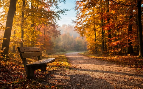 Lebensstil schützt Gehirn besser als jede Pille - Foto: über boerse-global.de