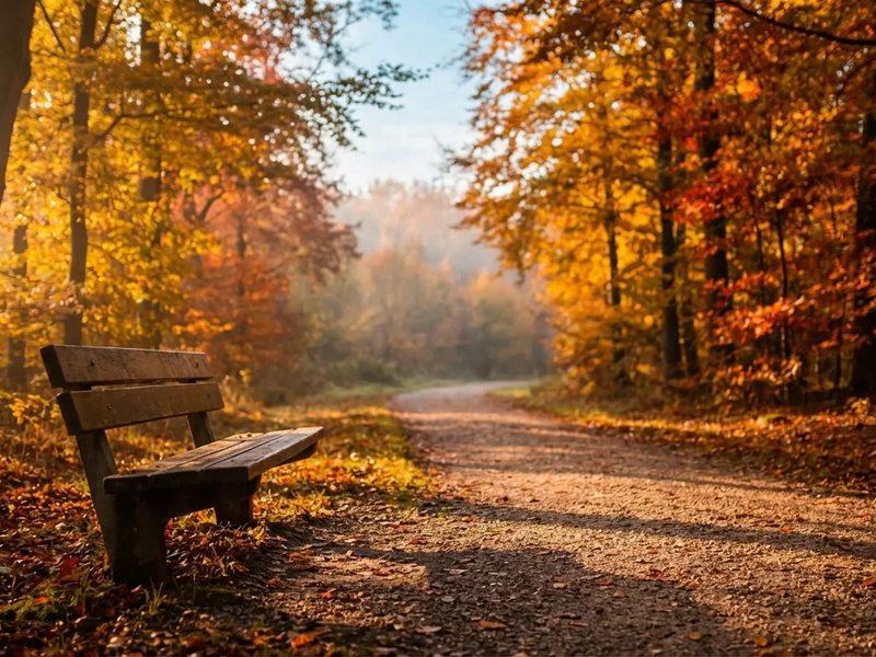 Lebensstil schützt Gehirn besser als jede Pille - Foto: über boerse-global.de