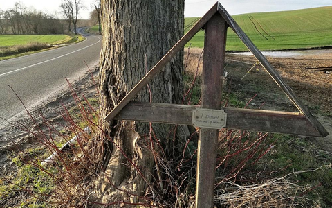 Unfallkreuz an Straßenrand (Archiv) - Foto: via dts Nachrichtenagentur