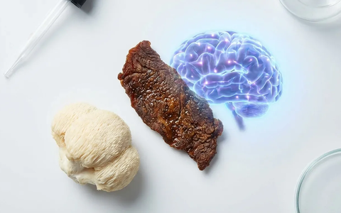 Mushroom Jerky: Vom veganen Snack zum gefragten Nootropikum - Foto: über boerse-global.de