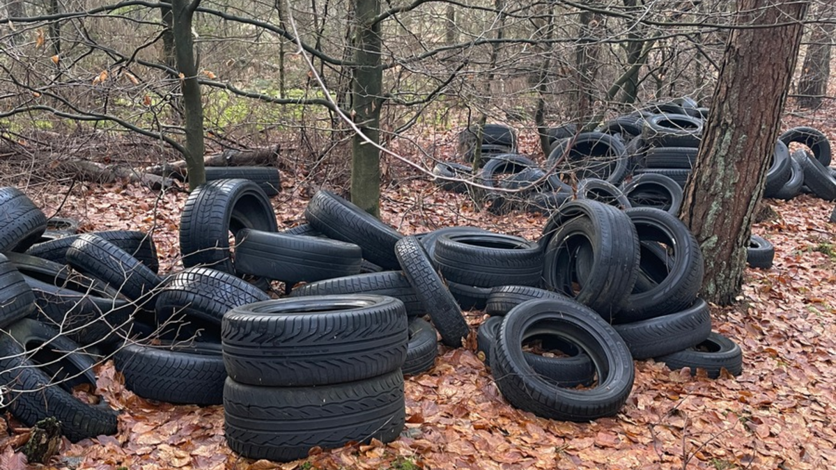 POL-EL: Dersum / Heede - Illegale Reifenentsorgung in Waldgebiet - Polizei bittet um Hinweise - Foto: presseportal.de