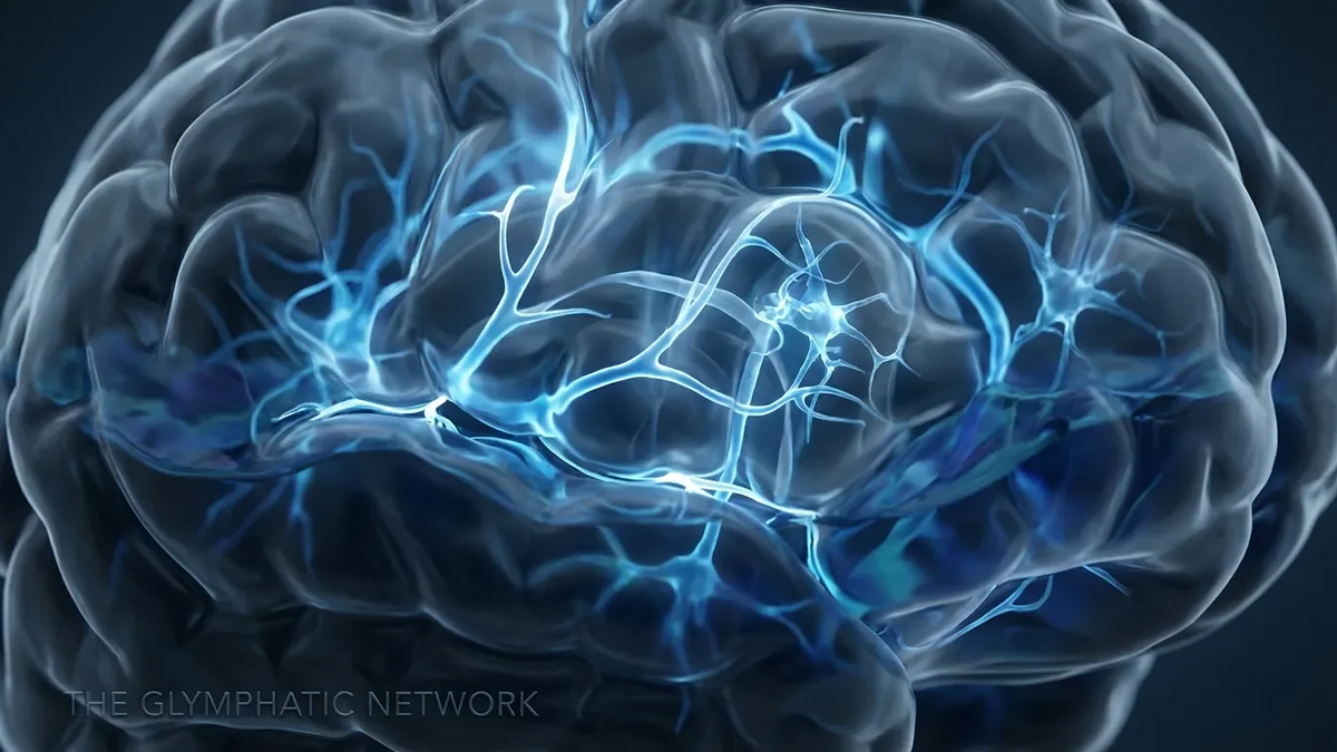 Atemtechnik aktiviert Gehirnreinigung wie Tiefschlaf - Foto: über boerse-global.de