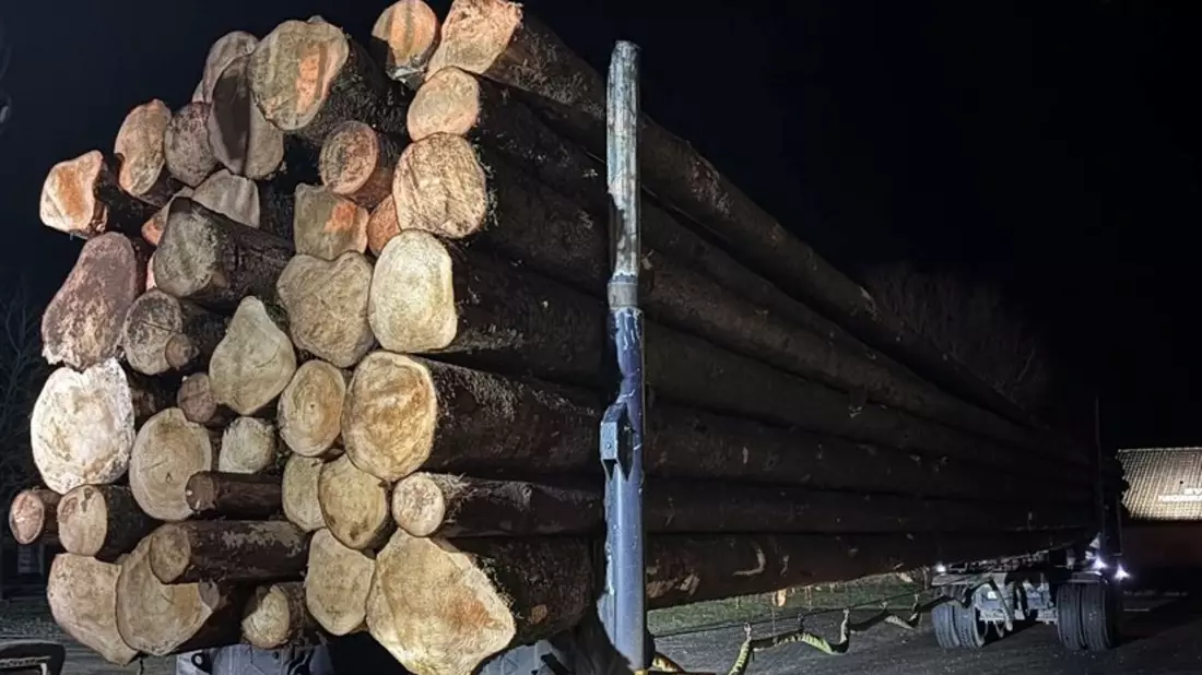 POL-PPTR: Erschreckendes Ergebnis bei Kontrollen von Holztransporten - Bild: presseportal.de