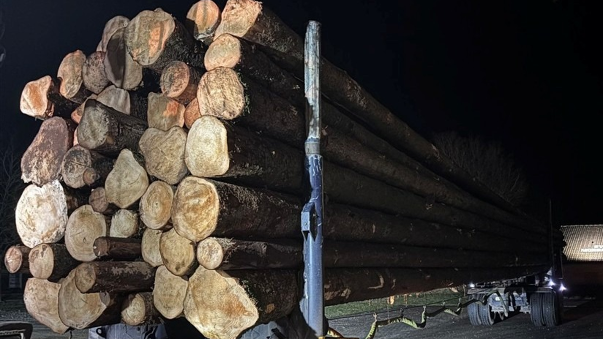 POL-PPTR: Erschreckendes Ergebnis bei Kontrollen von Holztransporten - Foto: presseportal.de