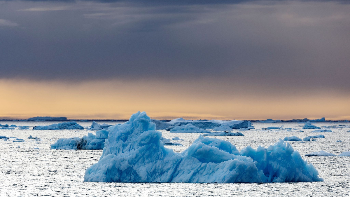 Die Dokumentation von Werner Herzog, in der der Pinguin vorkommt, ist aus dem Jahr 2007. (Archivfoto) - Foto: John Weller/dpa