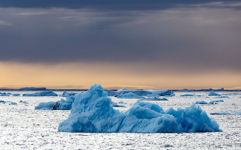 Die Dokumentation von Werner Herzog, in der der Pinguin vorkommt, ist aus dem Jahr 2007. (Archivfoto) - Foto: John Weller/dpa