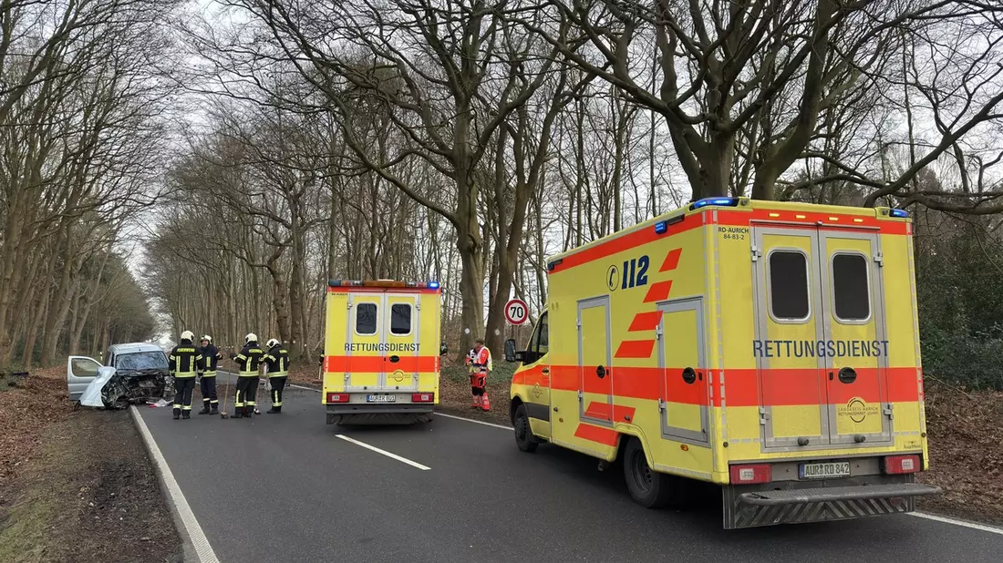 FW-AUR: Baum-Aufprall reißt Motorblock aus PKW - Bild: presseportal.de