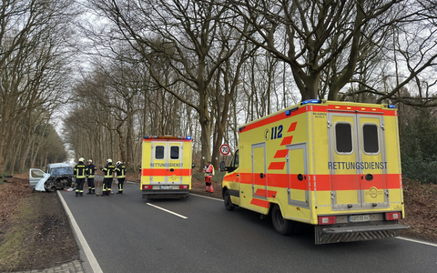 FW-AUR: Baum-Aufprall reißt Motorblock aus PKW - Foto: presseportal.de