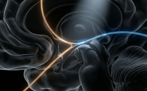 Gedächtnis-Forschung: Neuronen speichern Inhalt und Kontext getrennt - Foto: über boerse-global.de