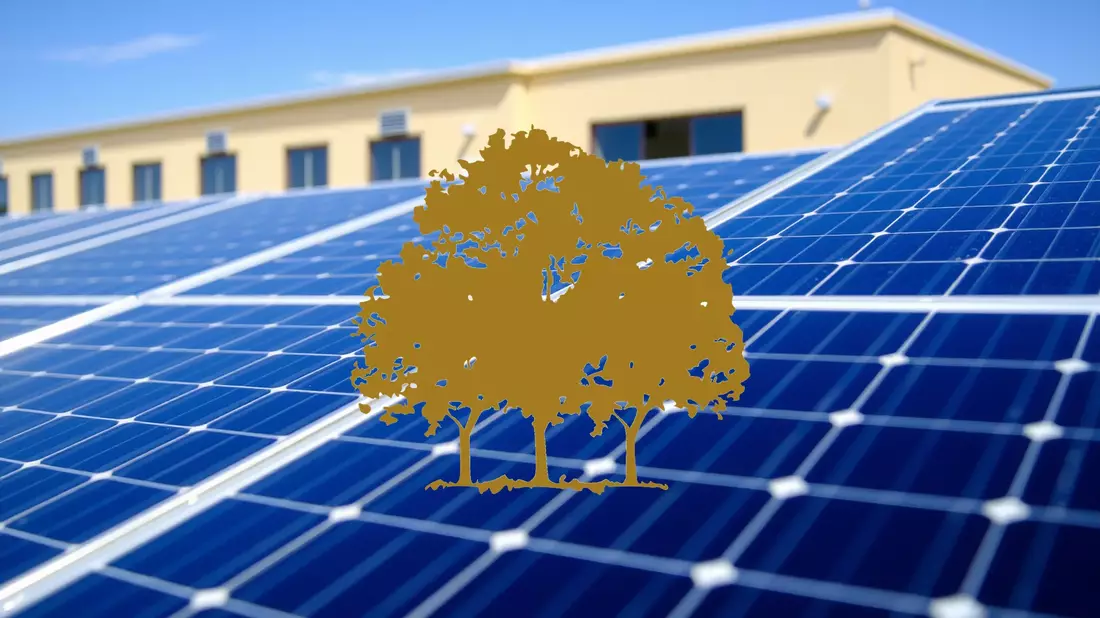 A Political Catalyst Sparks Renewed Interest in Canopy Growth Shares Illustration mit AI erstellt übermittelt durch boerse-global.de