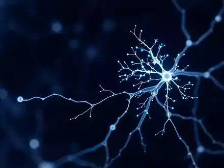 Gehirn-Kartierung revolutioniert Kampf gegen Alzheimer - Foto: über boerse-global.de