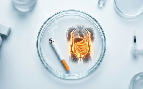 Rauchen fördert Bauchfett und bremst Muskelaufbau - Foto: über boerse-global.de