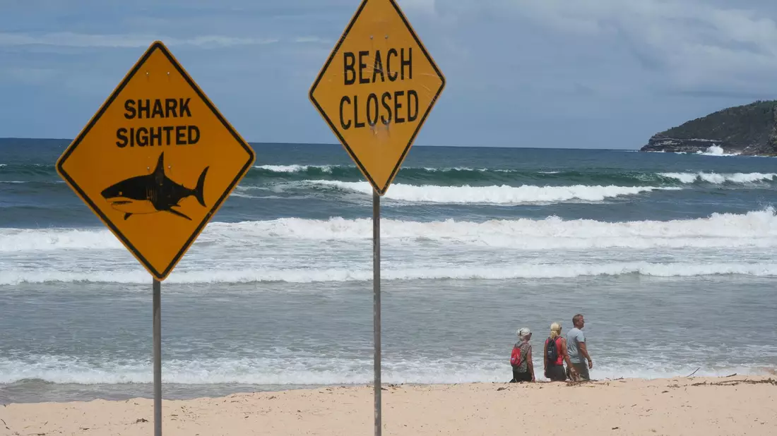 Innerhalb von nur wenigen Tagen wurden aus dem australischen Bundesstaat New South Wales vier Haiangriffe gemeldet. (Symbolbild) - Bild: Rick Rycroft/AP/dpa