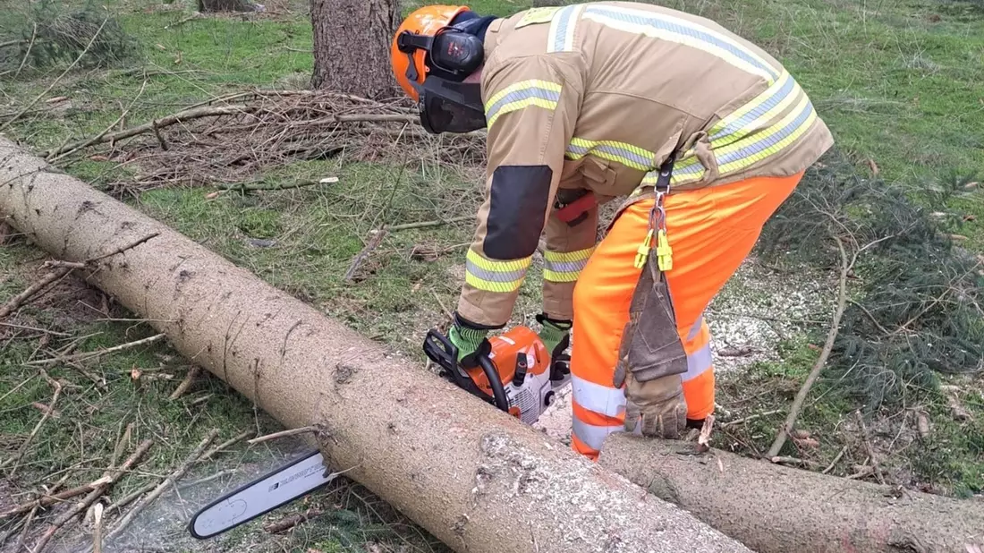 FW-OLL: Sonderdienst Motorkettensäge: Feuerwehr Wildeshausen trainiert für den Ernstfall - Bild: presseportal.de