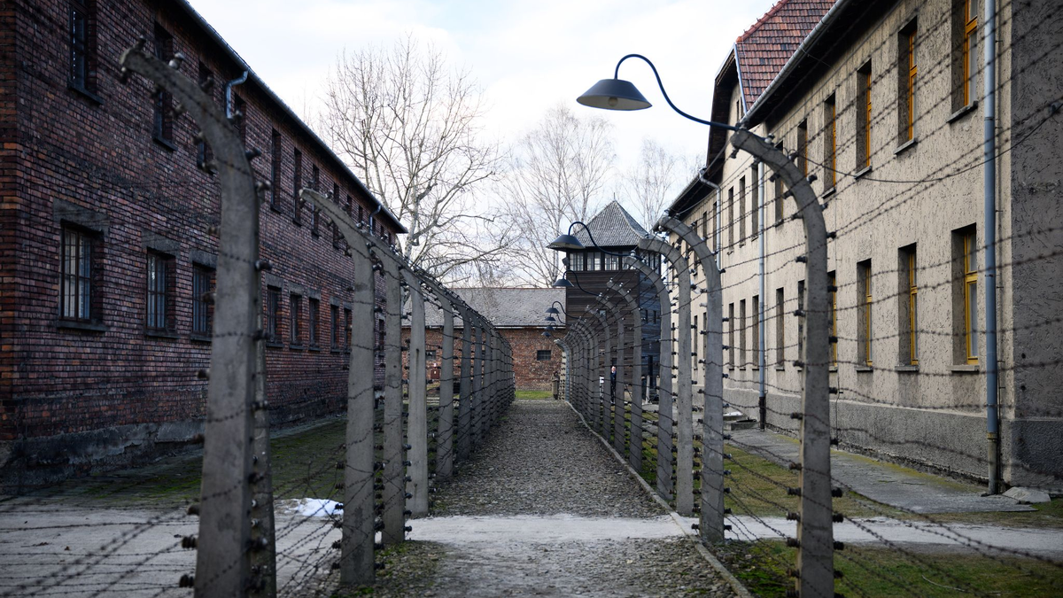 Mehr als eine Million Menschen wurden im Vernichtungslager Auschwitz-Birkenau von den Nazis ermordet. (Archivbild) - Foto: Bernd von Jutrczenka/dpa