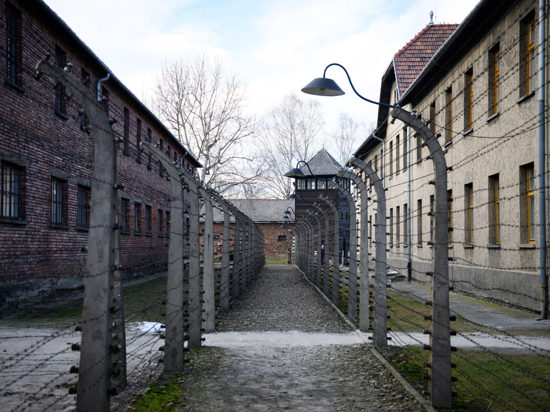 Mehr als eine Million Menschen wurden im Vernichtungslager Auschwitz-Birkenau von den Nazis ermordet. (Archivbild) - Foto: Bernd von Jutrczenka/dpa