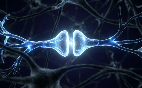 Magnesium-L-Threonat: Hoffnungsträger fürs Gehirn - Foto: über boerse-global.de