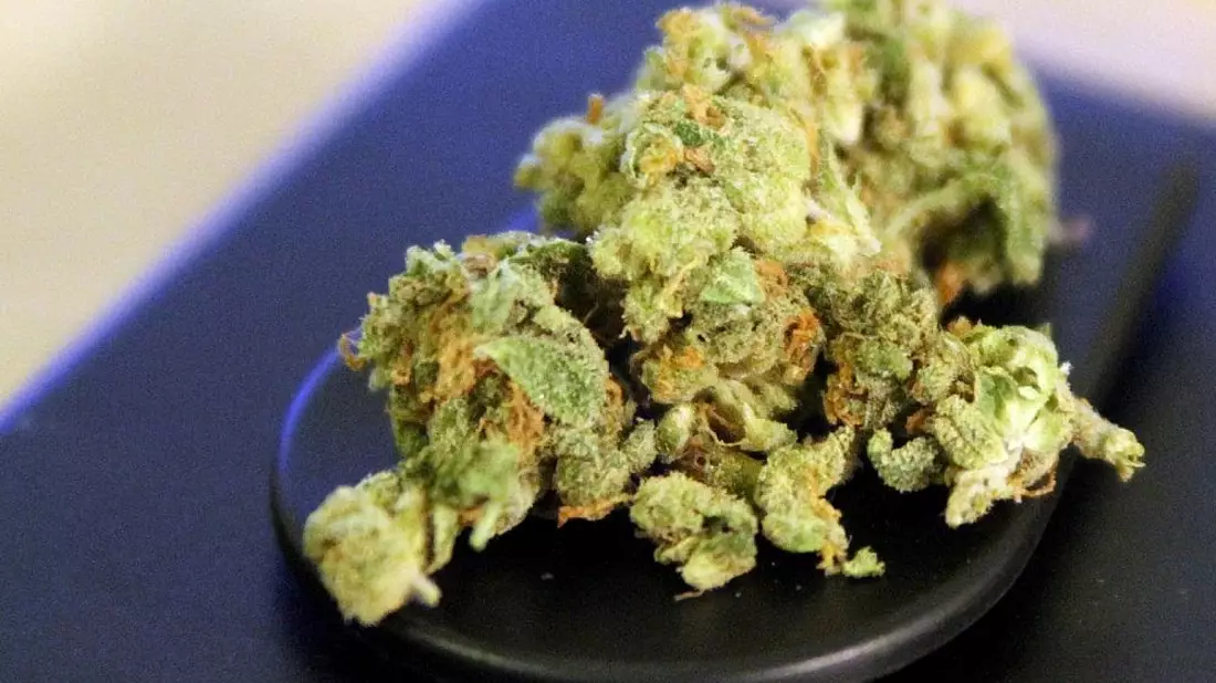 Cannabis (Archiv) - Bild: via dts Nachrichtenagentur