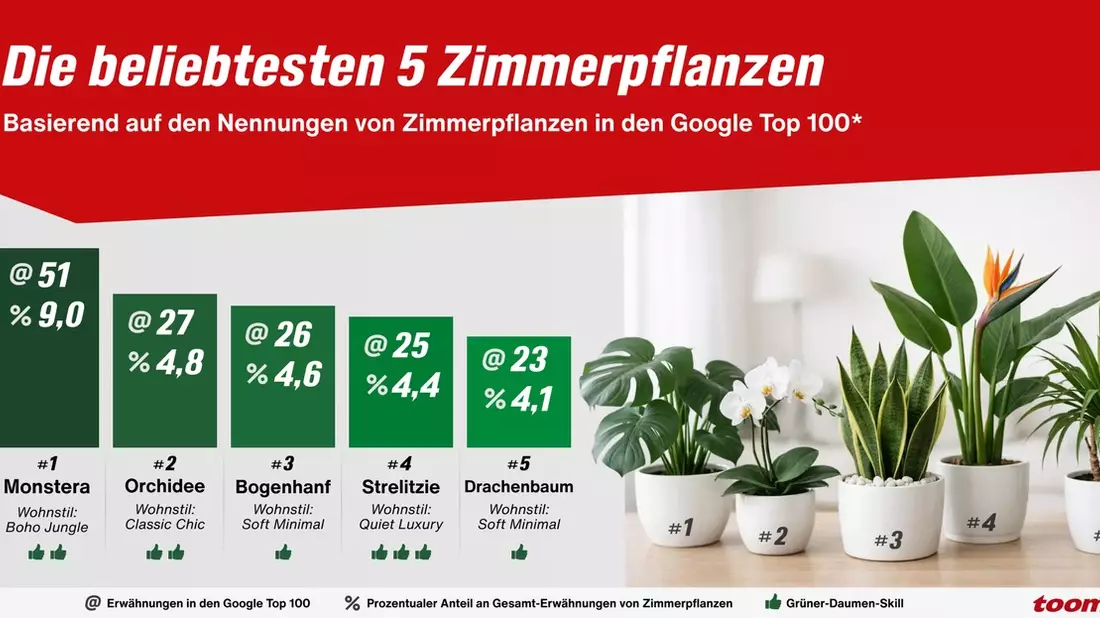 Zimmerpflanzen Trends 2026: Diese Pflanzen sind besonders beliebt /toom klärt auf: warum für gesundes Wachstum das Zusammenspiel aus Pflanze, Erde und Pflege entscheidend ist - Bild: presseportal.de
