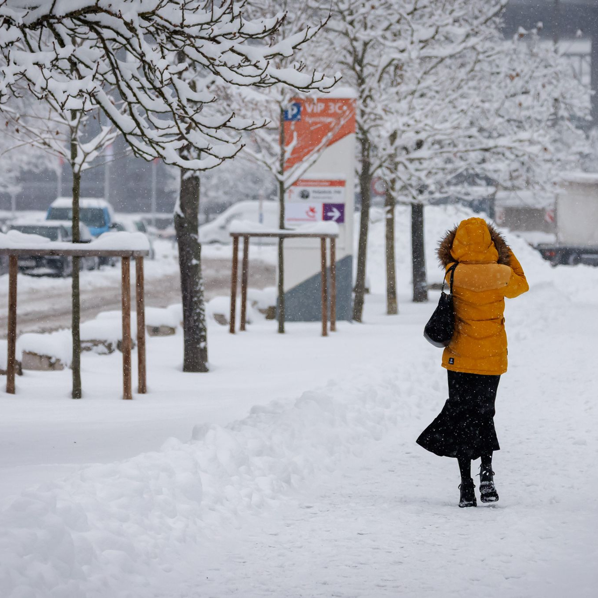 Nürnberg im Schnee. - Foto: Daniel Karmann/dpa