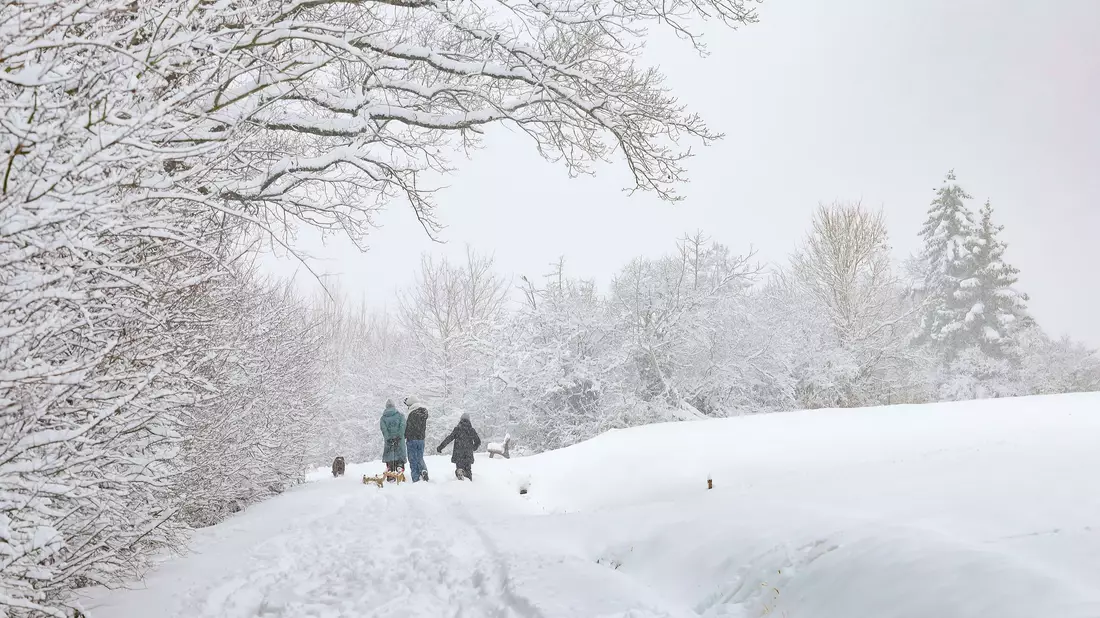 In Bayern genießen Spaziergänger das Winterwetter. - Bild: Daniel Löb/dpa