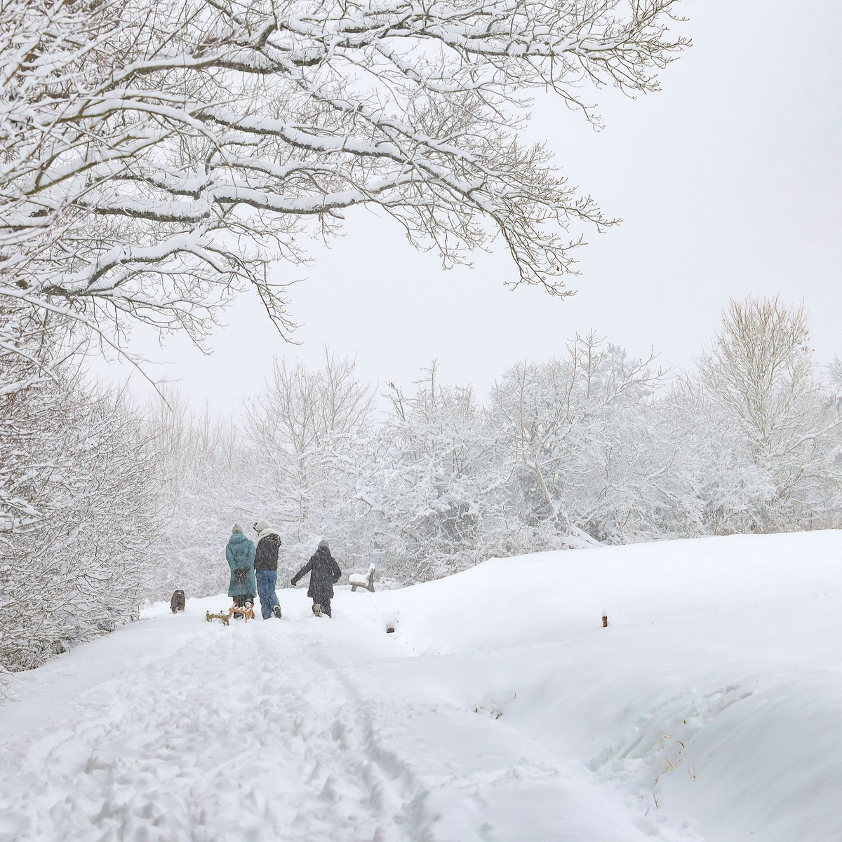 In Bayern genießen Spaziergänger das Winterwetter. - Foto: Daniel Löb/dpa