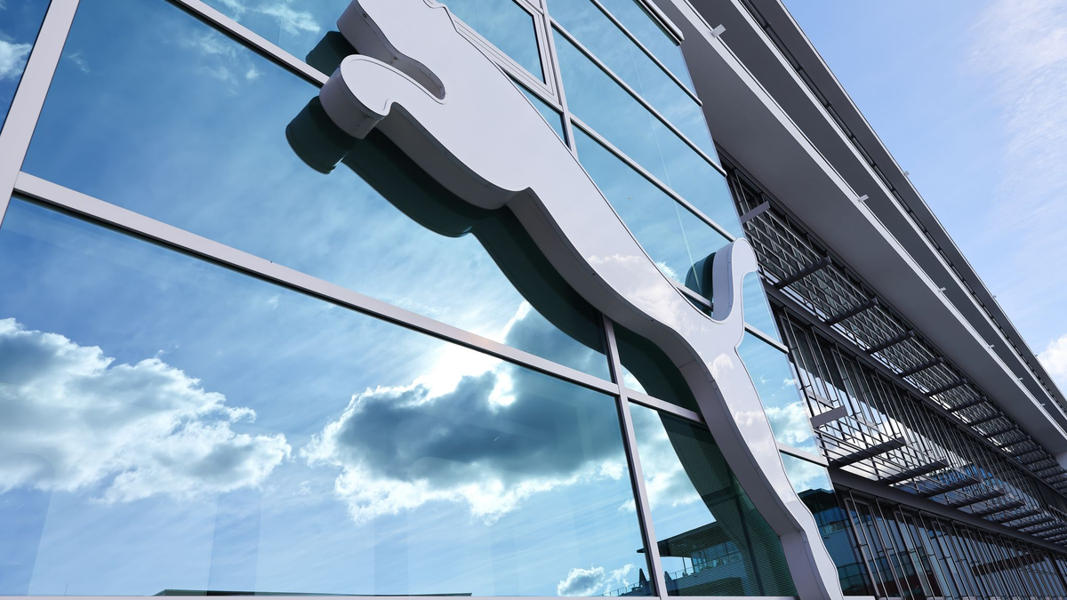 Die Anteile an Puma kommen von einer französischen Milliardärsfamilie. (Symbolbild)  - Foto: Daniel Löb/dpa