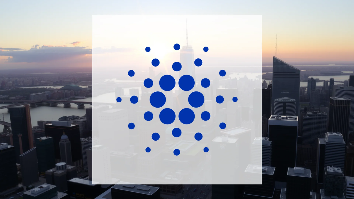 Cardano Approaches a Crucial Juncture Amid Divergent Investor Behavior - Foto: über boerse-global.de