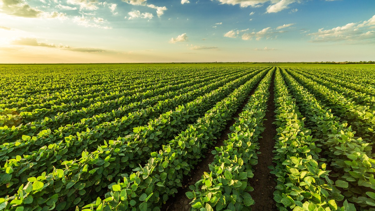 Lidl belegt in Deutschland erneut die Spitzenposition auf der 