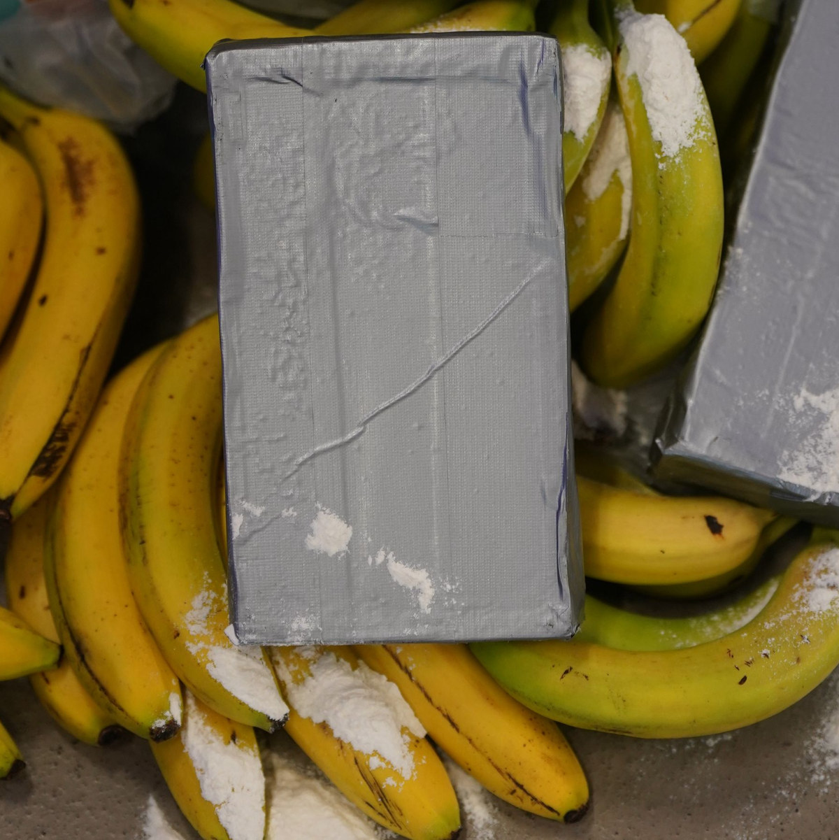 Kokain-Dealer suchen sich nach Angaben von Europol immer neue Schmuggelwege. (Symbolbild) - Foto: Marcus Brandt/dpa