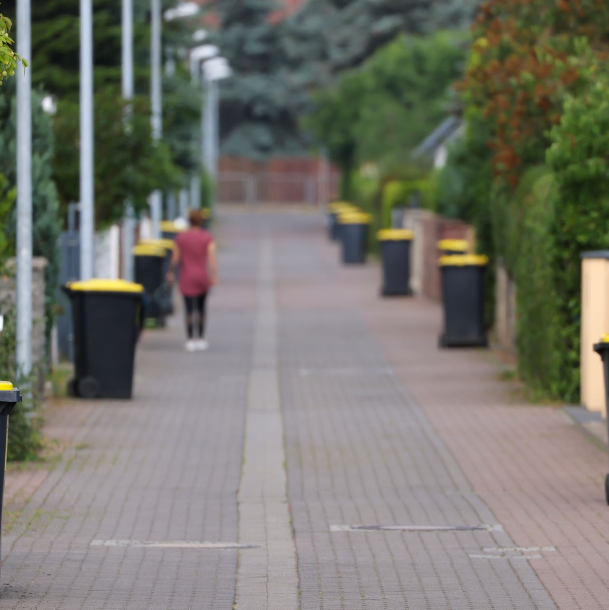 Die Müllabfuhr kommt, also raus mit den Gelben Tonnen! - Foto: Jan Woitas/dpa