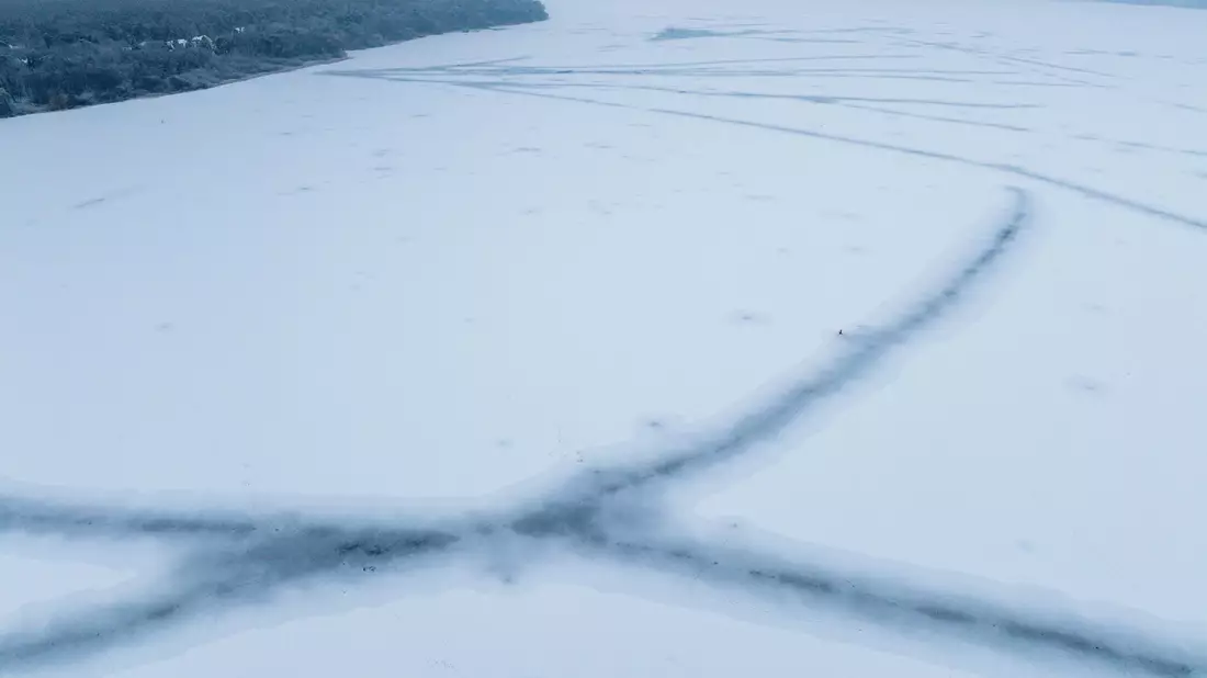 Für die Fische wirkt das Eis nach Aussage eines Experten «beruhigend». - Bild: Jens Büttner/dpa