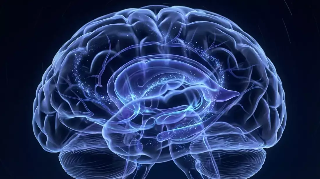 Schlaf reinigt das Gehirn und schützt vor Alzheimer - Bild: über boerse-global.de