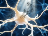 Rauchstopp schützt das Gehirn innerhalb von Minuten - Foto: über boerse-global.de