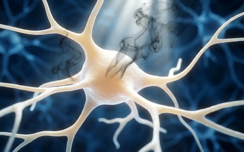 Rauchstopp schützt das Gehirn innerhalb von Minuten - Foto: über boerse-global.de
