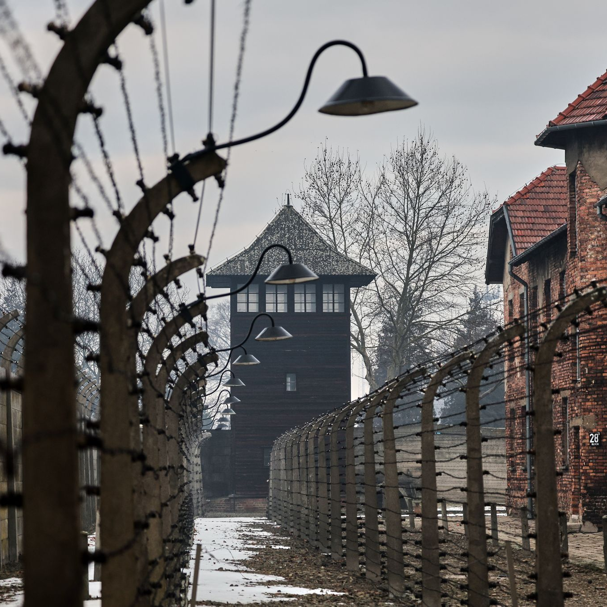 Jedes Jahr gedenkt der Bundestag anlässlich des Jahrestags der Befreiung des Vernichtungslagers Auschwitz der Opfer des Nationalsozialismus. - Foto: Beata Zawrzel/AP/dpa