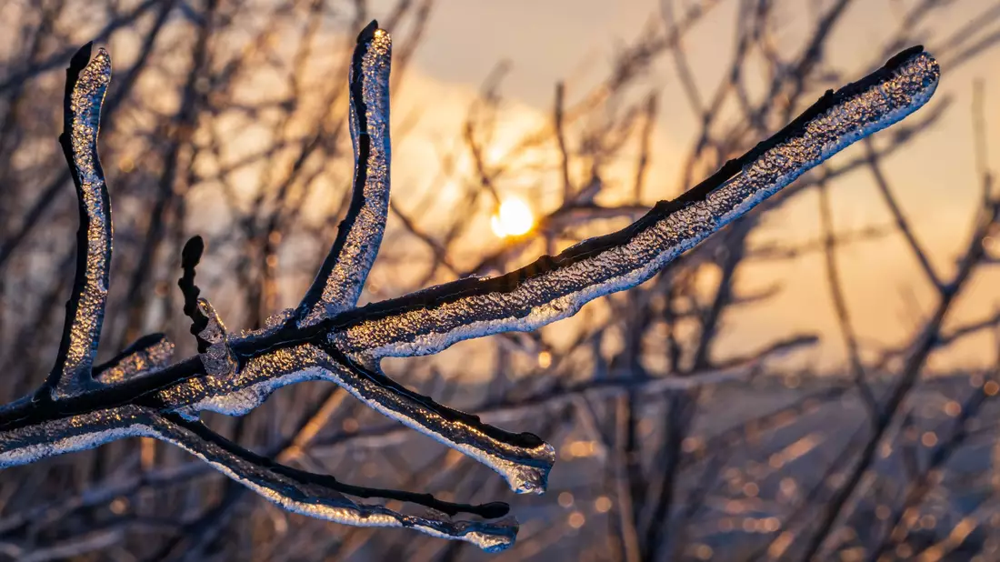 Auch am Mittwoch müssen sich die Menschen in Teilen Deutschlands auf winterliche Verhältnisse mit Regen und Schnee einstellen. - Bild: Patrick Pleul/dpa