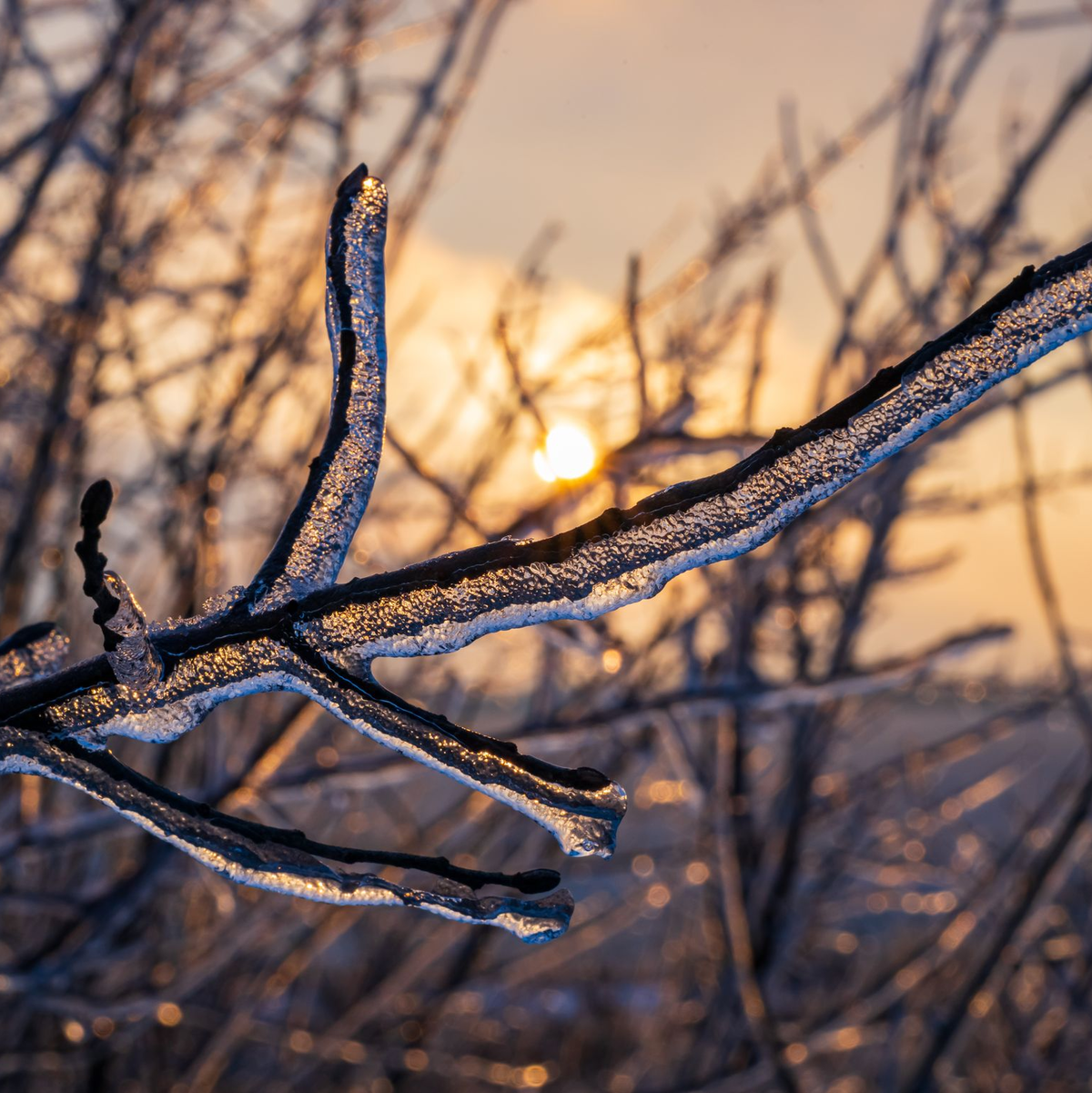 Auch am Mittwoch müssen sich die Menschen in Teilen Deutschlands auf winterliche Verhältnisse mit Regen und Schnee einstellen. - Foto: Patrick Pleul/dpa