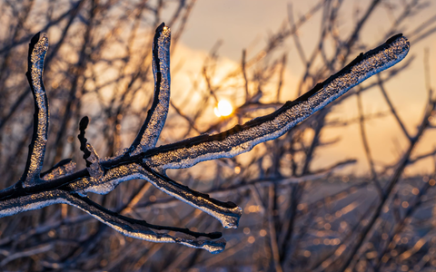 Auch am Mittwoch müssen sich die Menschen in Teilen Deutschlands auf winterliche Verhältnisse mit Regen und Schnee einstellen. - Foto: Patrick Pleul/dpa