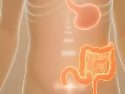 Gastrokolischer Reflex: Warum der Drang nach dem Frühstück kommt - Foto: über boerse-global.de