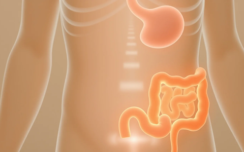 Gastrokolischer Reflex: Warum der Drang nach dem Frühstück kommt - Foto: über boerse-global.de
