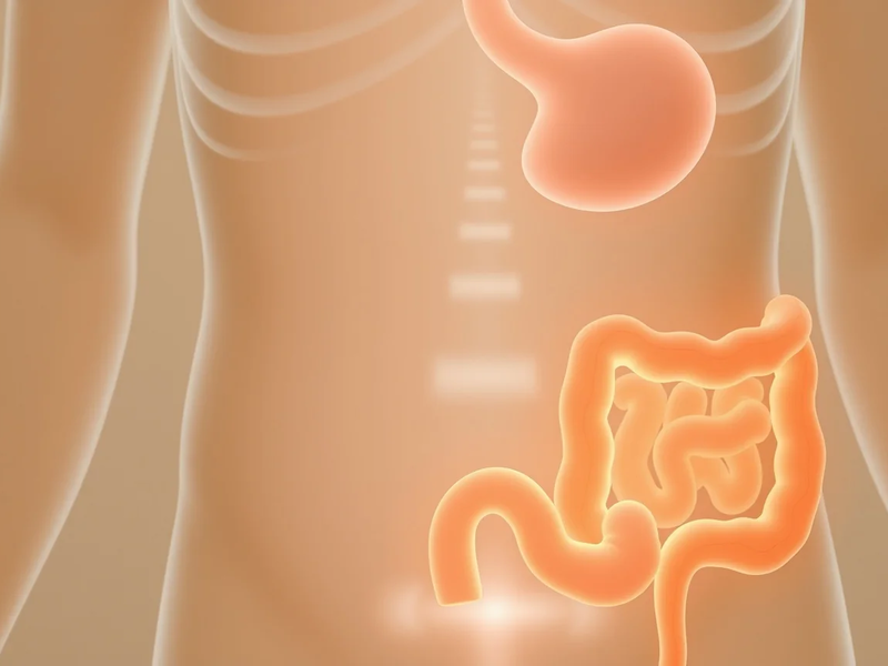 Gastrokolischer Reflex: Warum der Drang nach dem Frühstück kommt - Foto: über boerse-global.de